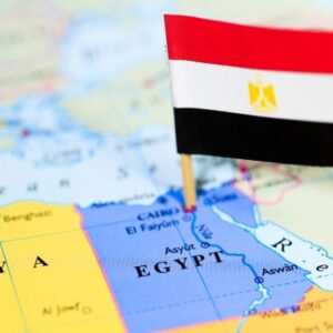 Education Verification Egypt